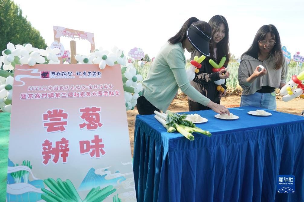 指尖捕鱼 鱼丸
